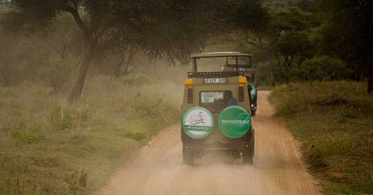 Tanzania Safari Tour Activities